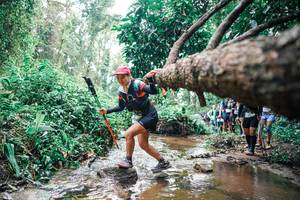 BIB: 
                            <button type="button" onclick="openModal(25374717)" class="btn btn-primary btn-sm float-right btn-popup" data-toggle="modal" data-target=".modal-high-quality">
                        <i class="fas fa-shopping-cart"></i> Add to Cart
                    </button>
                                            <button type="button" onclick="isThisMe(25374717, true)" class="btn btn-success btn-sm float-right btn-popup btn-isme hidden" data-toggle="tooltip" data-placement="bottom" title="นี่คือรูปของคุณใช่ไหม คลิกที่นี่เพื่อเอาเข้าอัลบั้ม">
                        <i class="fas fa-plus"></i> Add to album
                    </button>
                    <button type="button" onclick="isThisMe(25374717, false)" class="btn btn-warning btn-sm float-right btn-popup btn-isnotme hidden">
                        <i class="fas fa-ban"></i> Remove from album
                    </button>